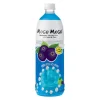 Boisson cassis nata de coco 1l