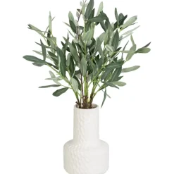 Bouquet olivier dans vase