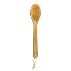 Brosse de massage pour le dos
