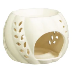 Brule parfum citrouille