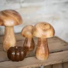 Champignon bois m