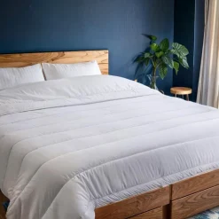 Couette 200x200 anti punaise ant