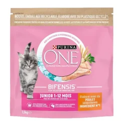 Croquettes chat junior poulet