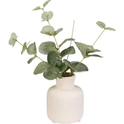 Eucalyptus dans vase