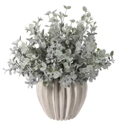 Eucalyptus vase nervure
