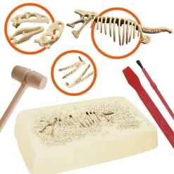 Explora paleontologue - stegosau