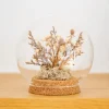 Fleurs sechees boule verre