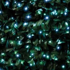 Guirlande 60 led solaire blanc f