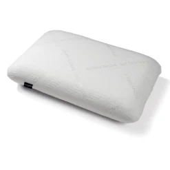 Jls oreiller memoire de forme 60