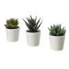Lot 3 succulentes artificielles