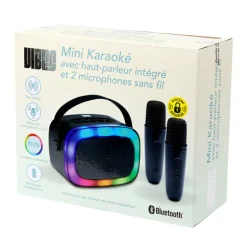 Mini enceinte karaoke