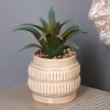 Petite plante ceramique