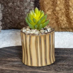 Petite plante ceramique