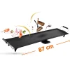 Plancha electrique 87x22cm 1800w