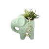 Plante pot elephant