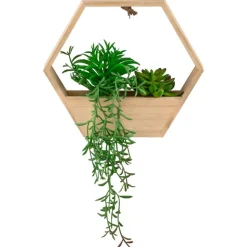 Plante suspendu hexagonale