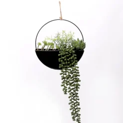 Plantes rond metal noir