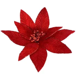 Poinsettia rouge