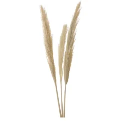 Roseau sauvage 115cm x3