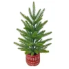 Sapin en pot 45 cm