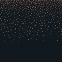 Serviette x20 paillettes noir or