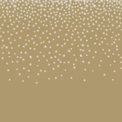 Serviette x20 40x40 3plis paille