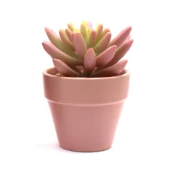 Succulente artificielle en pot
