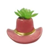 Succulente chapeau cowboy