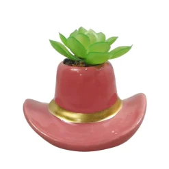 Succulente chapeau cowboy