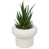 Succulente pot beton