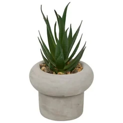 Succulente pot beton