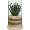 Succulente pot verre & bois
