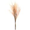 Tige pampa artificielle beige