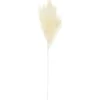Tige pampa artificielle creme