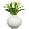 Tulipes dans vase blanc