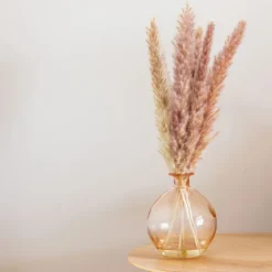 Vase givre avec pampa